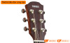 Đàn Guitar Yamaha CSF-TA, electro-acoustic guitar-8