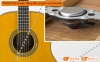Đàn Guitar Yamaha FS-TA, electro-acoustic guitar-6