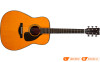 Đàn Guitar Yamaha FG5, acoustic guitar-1
