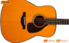 Đàn Guitar Yamaha FG5, acoustic guitar-10