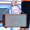 Loa Alpha Works Classic V60-6