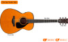Đàn Guitar Yamaha FSX3, electro-acoustic guitar-6