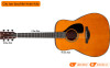 Đàn Guitar Yamaha FG3, acoustic guitar-6