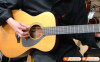 Đàn Guitar Yamaha FS5, acoustic guitar-10