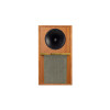 Loa Boston Acoustics Horn 10-1
