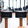 Loa JBL Pasion 10, Bass 25cm, 200W-1