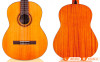 Đàn Guitar Cordoba C3M, classic guitar-11