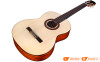Đàn Guitar Cordoba C5 SP, classic guitar-5