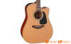 Đàn Guitar Takamine P1DC, guitar acoustic eclectric-13