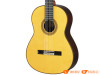 Đàn Guitar Yamaha GC42S, guitar classic-4