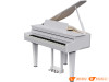 Đàn Piano Roland GP-6, piano điện-21