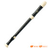 Sáo tiêu Yamaha YRT-304BII-2