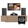 Dàn Karaoke Gia Đình KGD20 (Wharfedale Sigma X12, Neko AK3900 Pro, Wharfedale SW12)-1