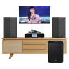 Dàn Karaoke Gia Đình KGD21 (Wharfedale Sigma X12, Neko AK3900 Pro, T-SUB AX15B)-1