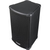 Loa Fender Fighter 10-4