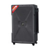 Loa Dalton TS-18G800XP, Bass 50cm, Công suất 850W, Bluetooth 5.2, kèm 2 Mic-3