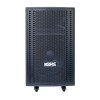 Loa Acnos CB3050 Max-1