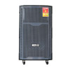Loa Acnos CB421 Plus-1