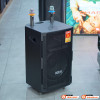 Loa Acnos CB391G-8