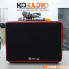 Loa Arirang MB3-18