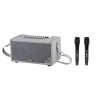 Loa Neko NK03, Công suất 80W, Bluetooth, Aux, Kèm 2 Micro-1