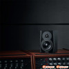 Loa Dynaudio LYD 5, Bass 13 cm, 100W, 106dB, 60 Hz - 21 kHz-8