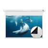 Màn chiếu điện Vividstorm VMSLW135H (16:9), 135 Inch-2