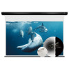 Màn chiếu xuyên âm Vividstorm VMSLPW120H, 120 Inch-2