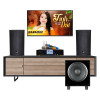 Dàn karaoke gia đình KGD24 (Tecnare E10, Neko AK3900 Pro, Wharfedale SW12)-1