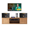 Dàn karaoke gia đình KGD283 (JBL Ki110 Gold Edition, Beyond 3, VM300)-1
