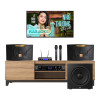 Dàn karaoke gia đình KGD284 (JBL Ki110 Gold Edition, VM300, Beyond 3, Stage 220P)-1