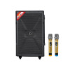 Loa Dalton TS-15G700X, Bass 40cm, Công suất 700W, Bluetooth 5.0, kèm 2 Mic-1