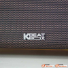 Loa Acnos Acoustic 3, Bass 25cm, Công suất 220W, Bluetootth, USB, Mic Wireless Stereo, 2 Micro-5