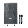 Loa Acnos CB303G-1
