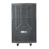 Loa Acnos CB303G-2
