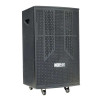 Loa Acnos CB303G-4