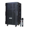 Loa Acnos CB393G-1