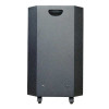 Loa Acnos CB393G-5