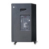 Loa Acnos CB41Neo, Bass 40cm, Công suất 200W, 2 Micro-4