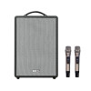 Loa Acnos CS201V, Bass 20cm, Công suất 70W, Bluetooth 5.0, Kèm 2 mic-1
