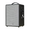 Loa Acnos CS201V, Bass 20cm, Công suất 70W, Bluetooth 5.0, Kèm 2 mic-3