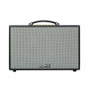 Loa Acnos CS261PU-2