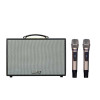 Loa Acnos CS261PU-1