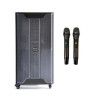 Loa Arirang MK5 Max, Bass 40cm, Công suất RMS 400W, Guitar, Kèm 2 micro UHF-1