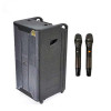 Loa Arirang MK5 Max, Bass 40cm, Công suất RMS 400W, Guitar, Kèm 2 micro UHF-2
