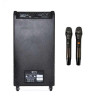 Loa Arirang MK5 Max, Bass 40cm, Công suất RMS 400W, Guitar, Kèm 2 micro UHF-3
