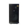 Loa Arirang MK6 MAX, Bass 40cm, Công suất RMS 400W, Bluetooth, Guitar, Kèm 2 micro-1