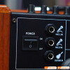 Loa Arirang MKS2, Bass 30cm, Công suất 80W, Bluetooth, AUX, USB, Thẻ Nhớ, Mic, Guitar, Kèm 2 micro-19