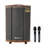 Loa Arirang MKS2.5, Bass 30cm, Công suất 100W, Bluetooth, USB, Guitar, Kèm 2 micro-1