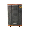 Loa Arirang MKS2.5, Bass 30cm, Công suất 100W, Bluetooth, USB, Guitar, Kèm 2 micro-2